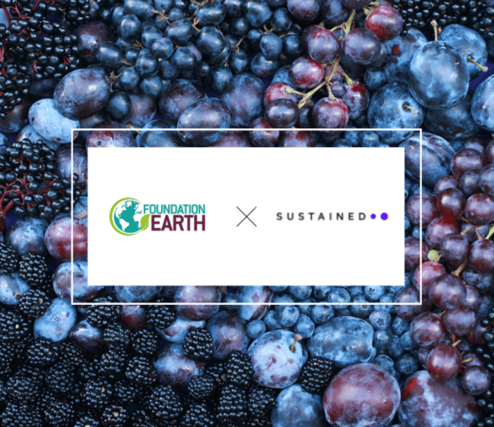 Screenshot 2024-04-18 at 09.48.00