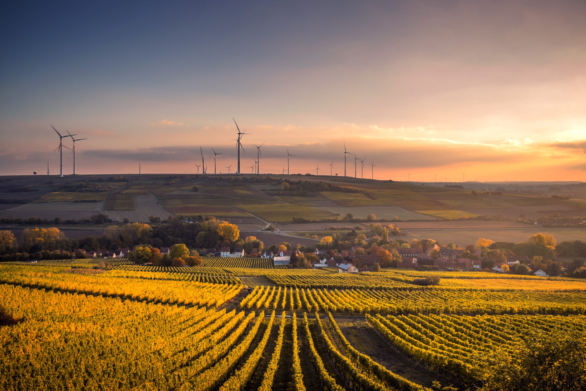 field_windt_bg