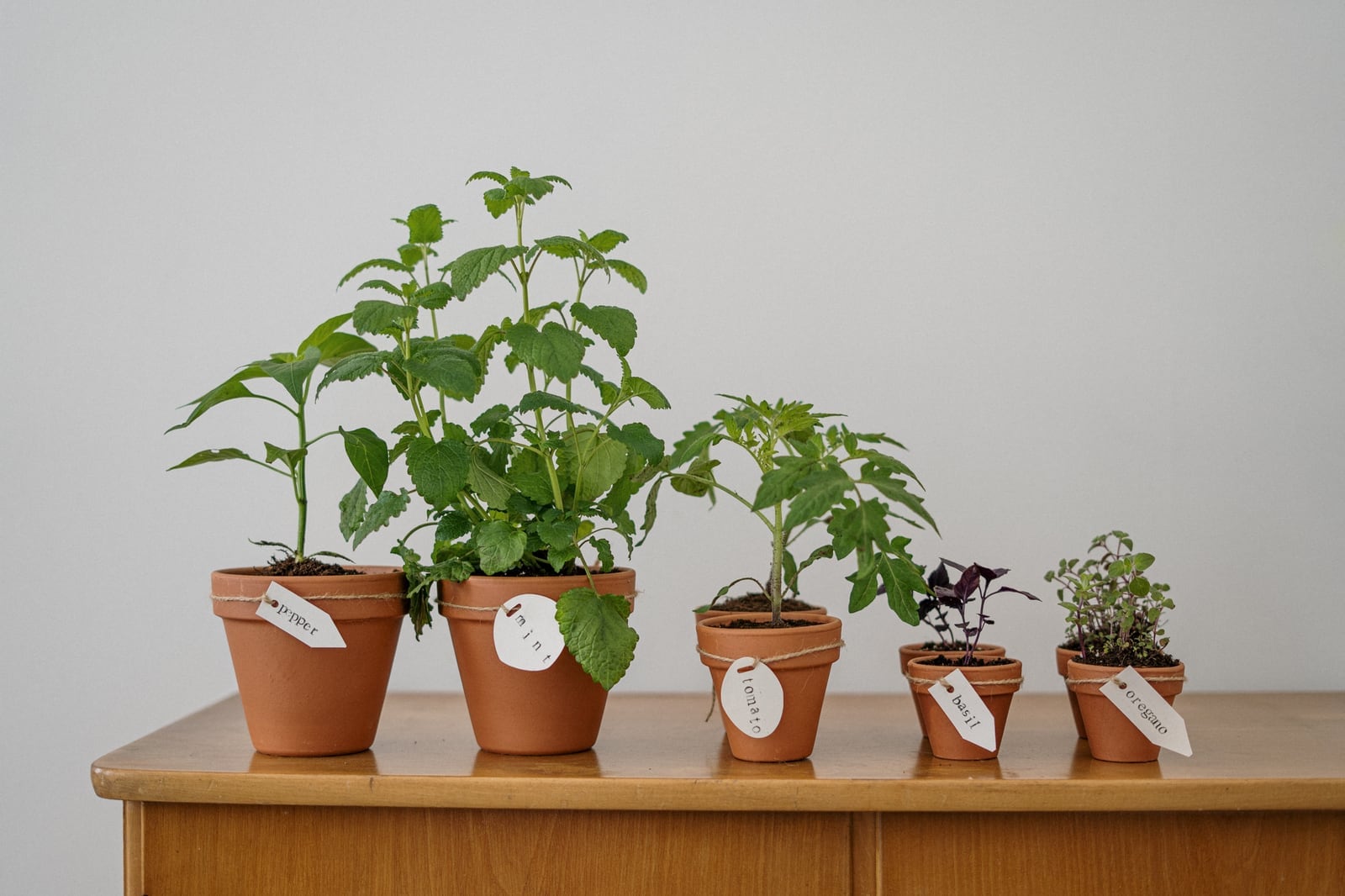 Debunking Food Sustainability Myths