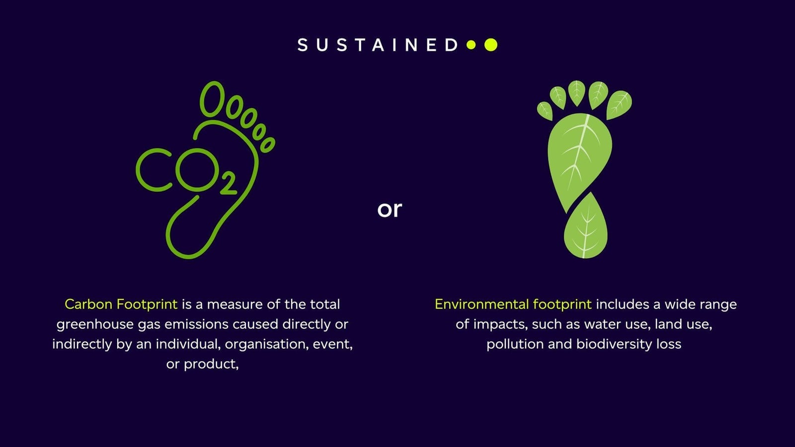 Decoding Environmental Buzzwords: Five Terms You Need to Know (Part 2)
