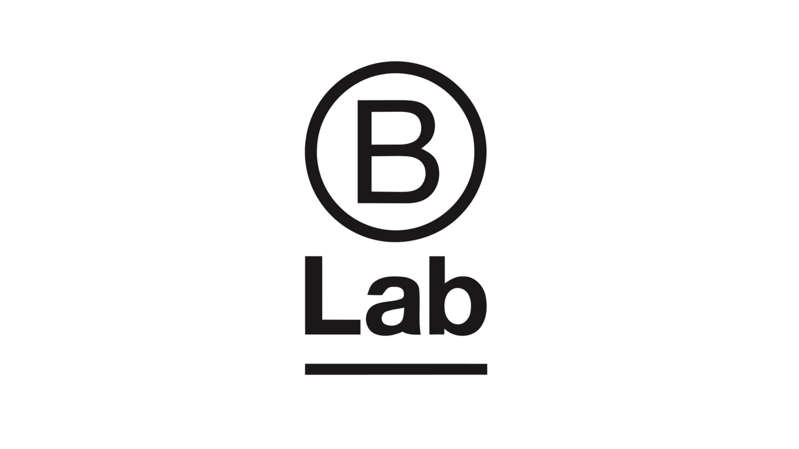 Understanding the New B Corp Certification Standards for 2025