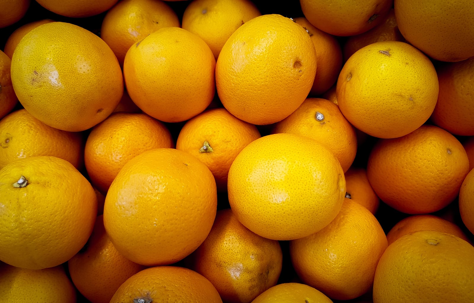 What is Sustainable Food?