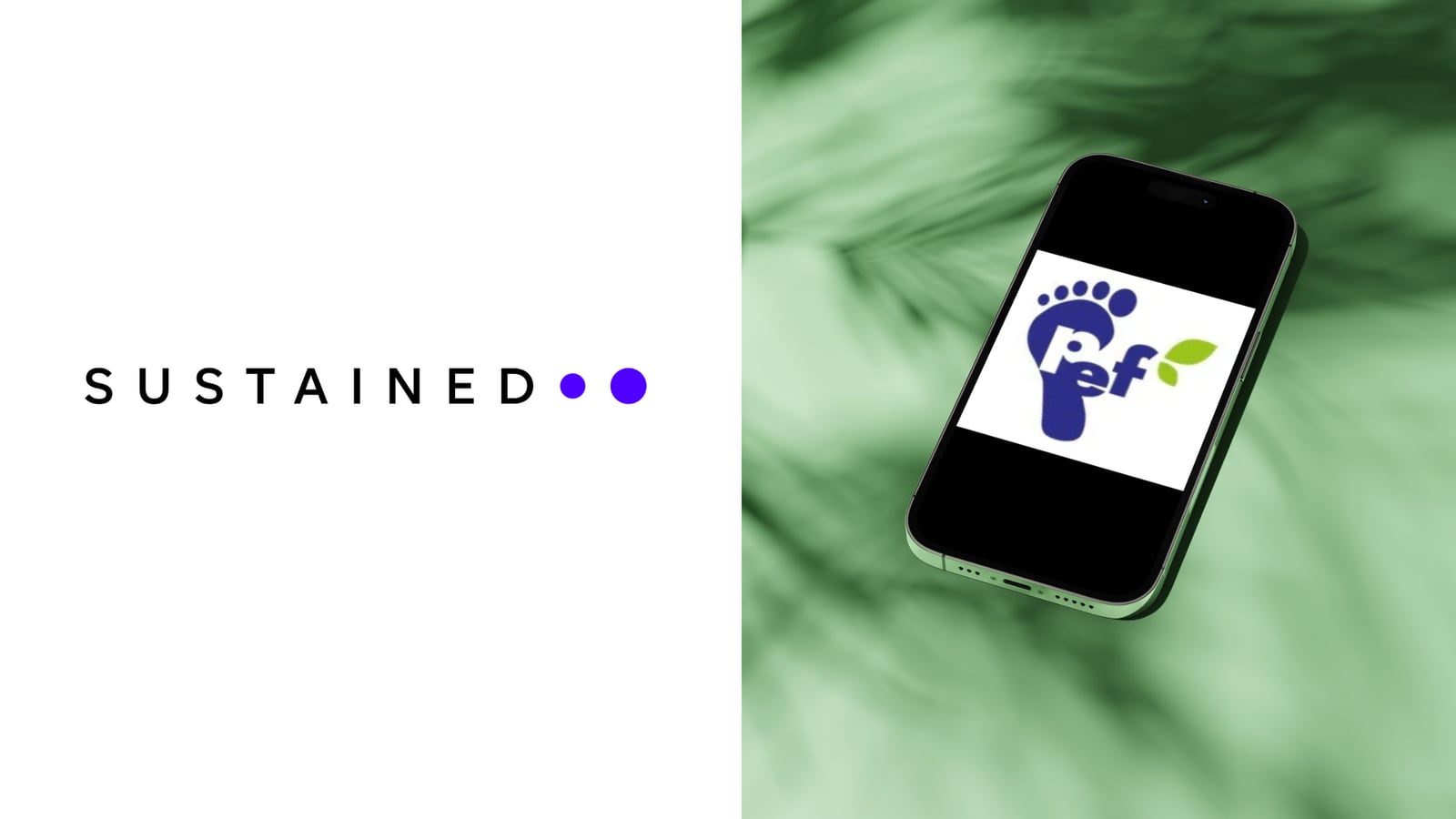 Using the Product Environmental Footprint (PEF) Framework for LCA's